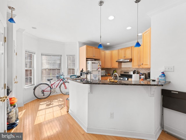 kitchen with light brown cabinetry, light wood-style floors, under cabinet range hood, stainless steel gas range oven, and backsplash