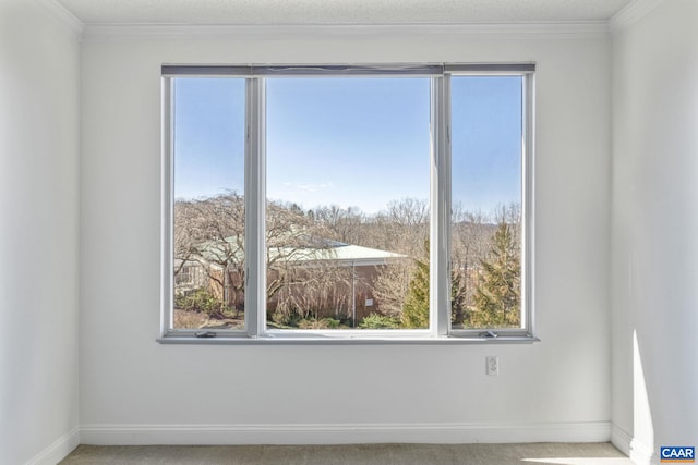 empty room featuring ornamental molding, carpet, and baseboards