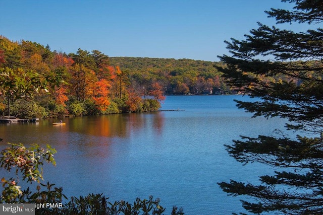 water view featuring a forest view