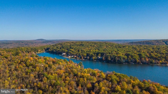 aerial view featuring a water view and a view of trees