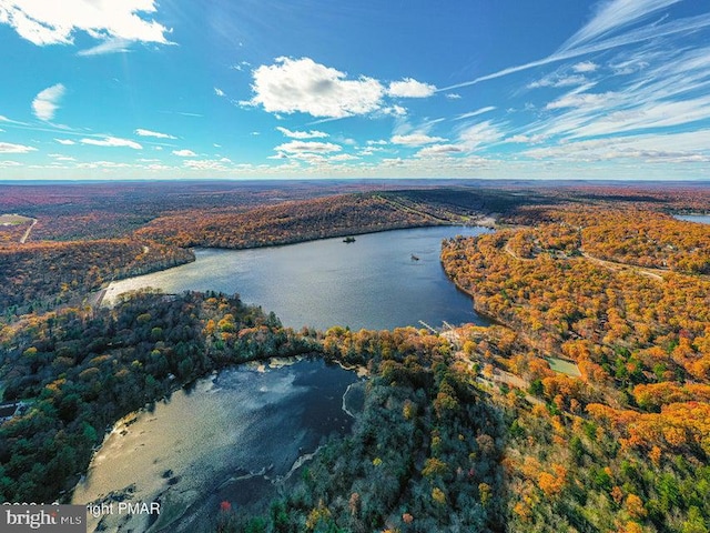 drone / aerial view with a water view and a forest view