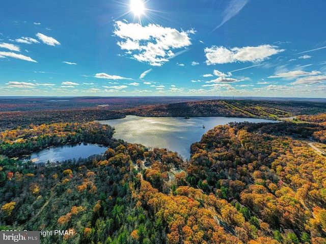 aerial view featuring a forest view and a water view