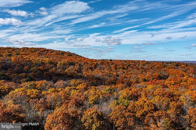 view of mountain feature featuring a view of trees