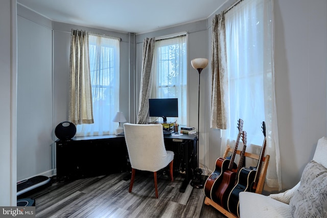 office space featuring wood finished floors