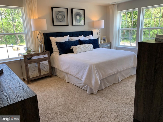 bedroom featuring carpet flooring