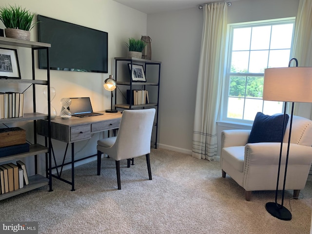 carpeted office with baseboards