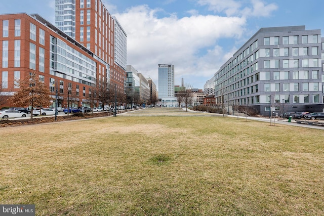 view of home's community with a yard