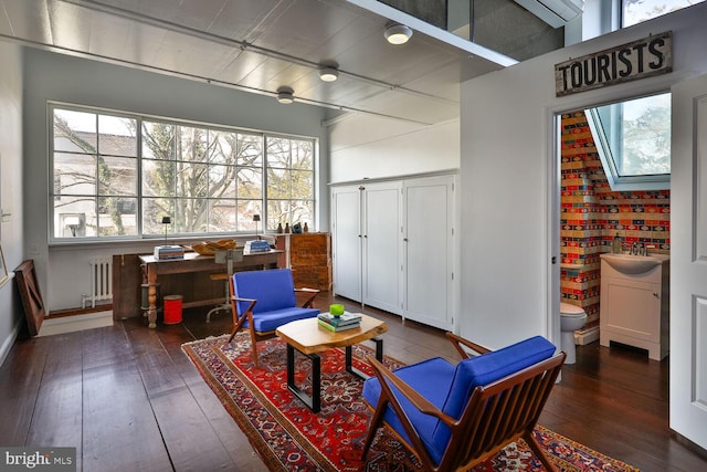 living area featuring radiator and hardwood / wood-style floors