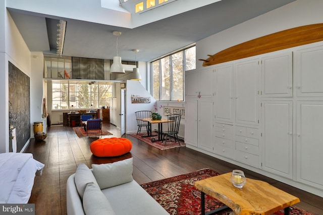 living area featuring dark wood-type flooring, a wealth of natural light, and baseboards