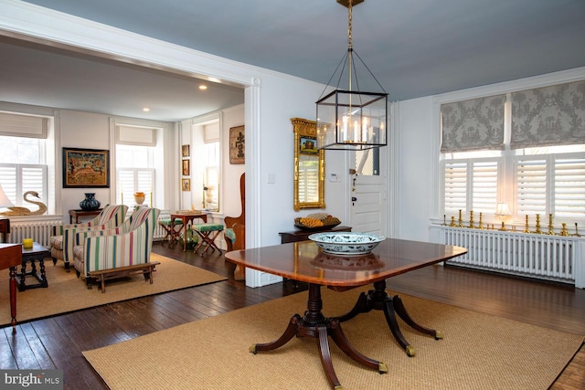 dining area featuring wood-type flooring, plenty of natural light, and radiator heating unit