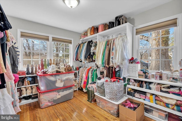 spacious closet featuring hardwood / wood-style flooring