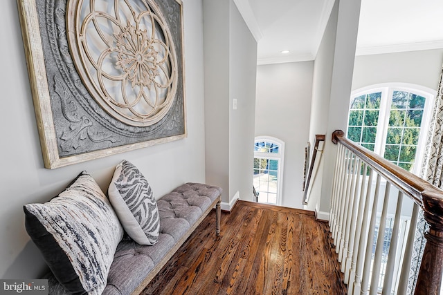 hallway with a healthy amount of sunlight, ornamental molding, wood finished floors, and an upstairs landing