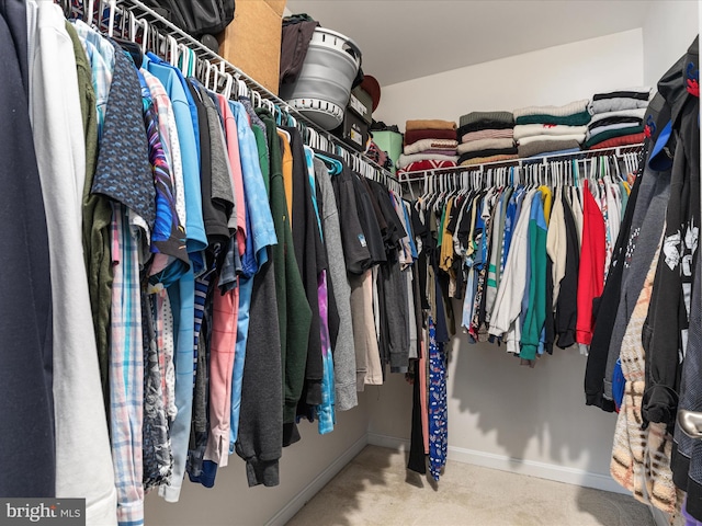 spacious closet featuring carpet flooring