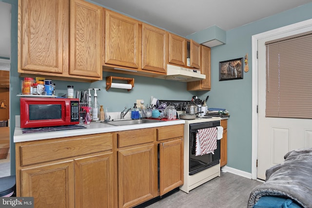 kitchen with under cabinet range hood, a sink, light wood-style floors, light countertops, and white range with electric stovetop