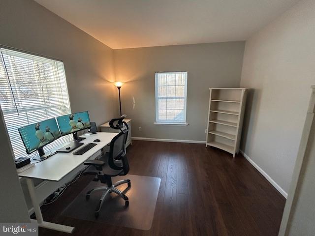 office featuring wood finished floors, a wealth of natural light, and baseboards