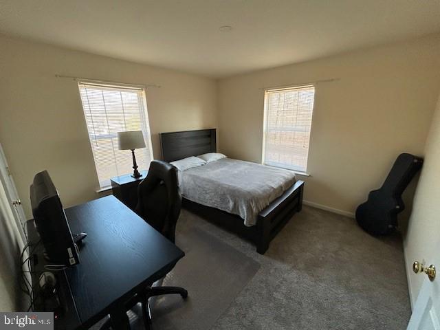 bedroom featuring carpet floors, multiple windows, and baseboards