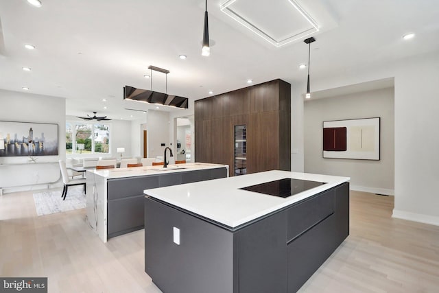 kitchen with light wood-style flooring, a sink, an island with sink, modern cabinets, and black electric cooktop