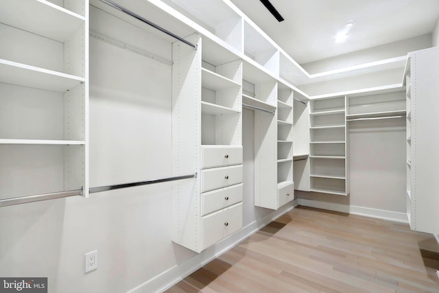 walk in closet with wood finished floors