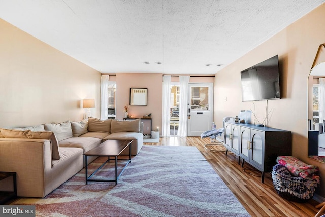 living room with wood finished floors