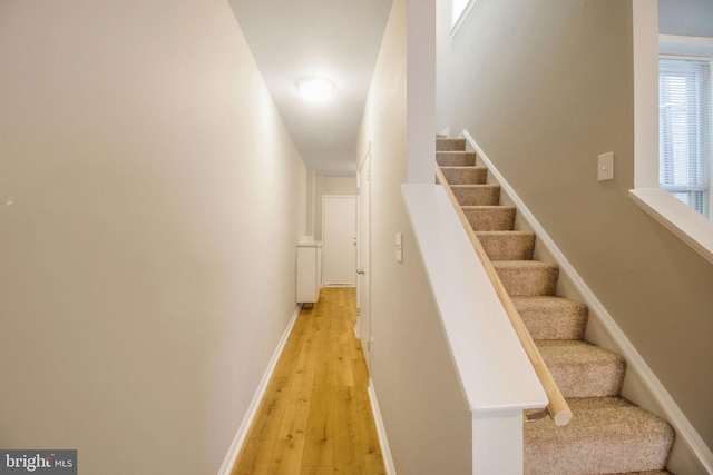 stairway with baseboards and hardwood / wood-style floors