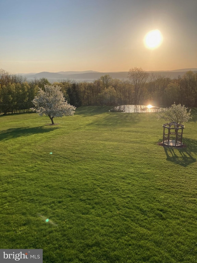 view of community featuring a lawn