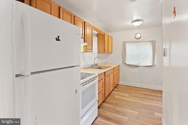 kitchen featuring white appliances, a sink, baseboards, light countertops, and light wood finished floors