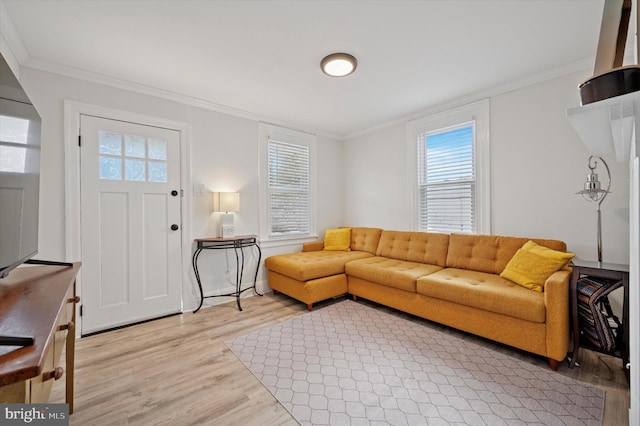 living area featuring a wealth of natural light and crown molding