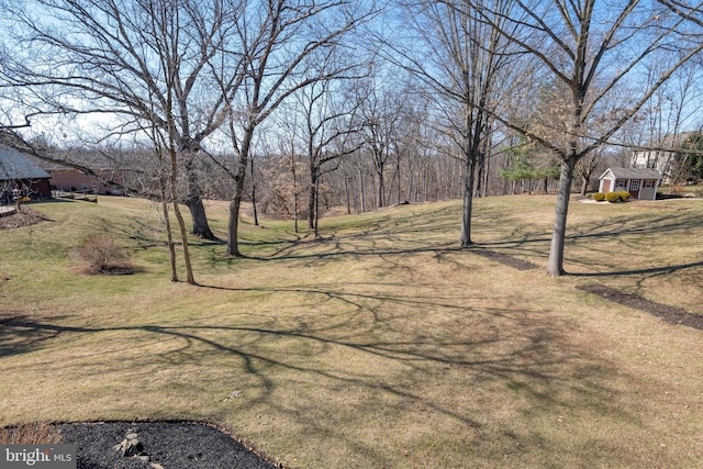 view of yard featuring an outdoor structure