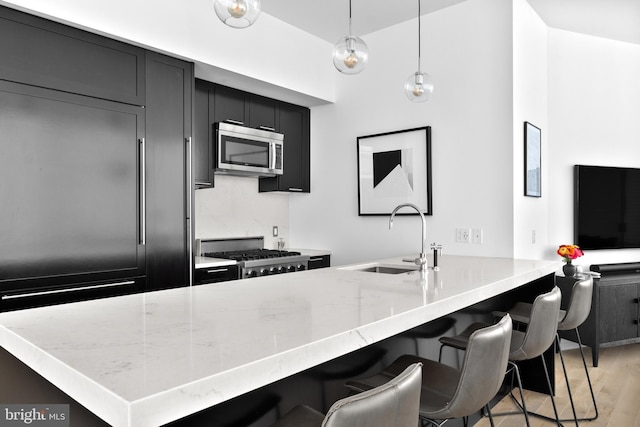 kitchen featuring stove, a sink, light wood-style floors, light stone countertops, and stainless steel microwave