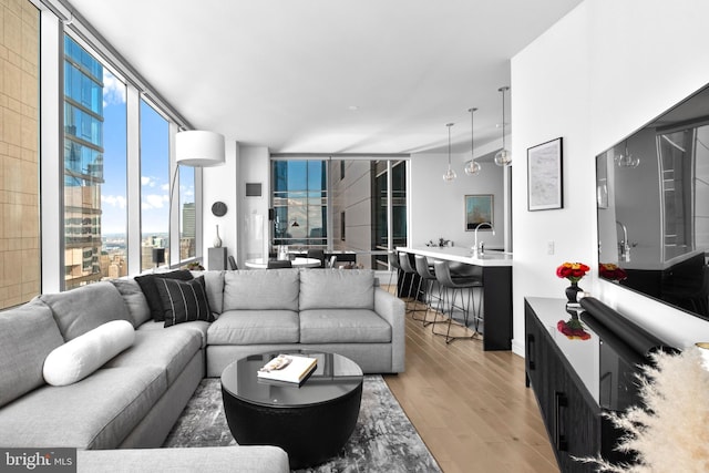 living area featuring floor to ceiling windows and wood finished floors