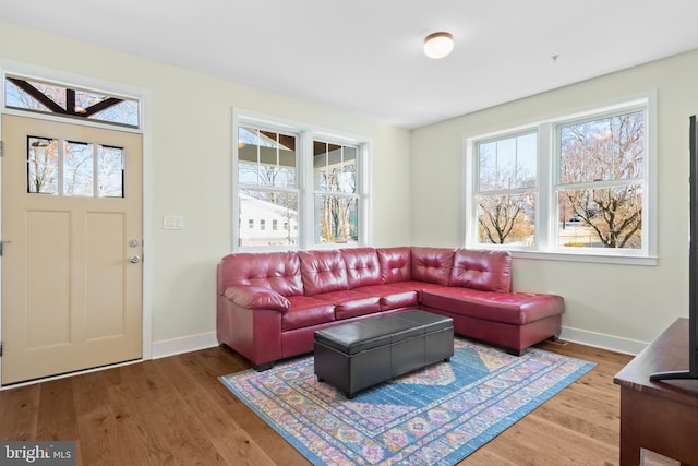 living area featuring baseboards and wood finished floors