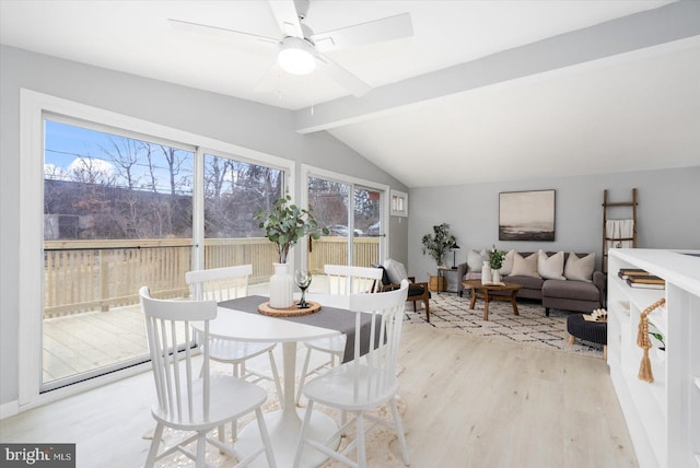 dining room with lofted ceiling with beams, plenty of natural light, light wood-style flooring, and a ceiling fan