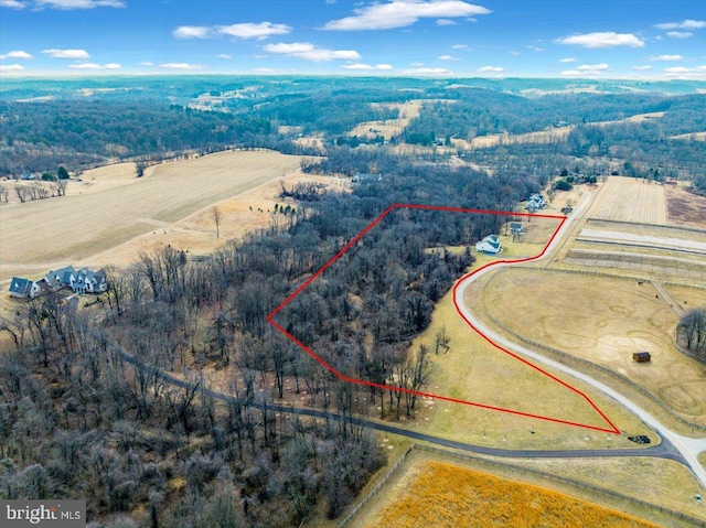 aerial view featuring a wooded view