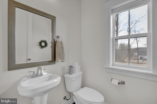 half bath with toilet, a sink, and a wealth of natural light