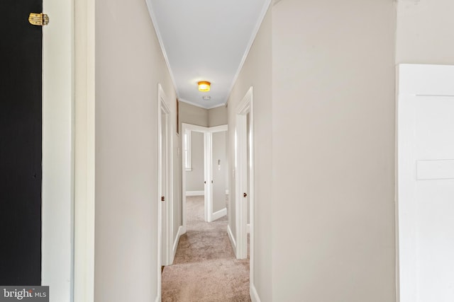 hall featuring baseboards, carpet floors, and crown molding