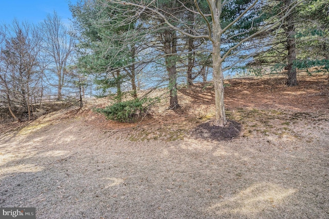 view of yard featuring driveway