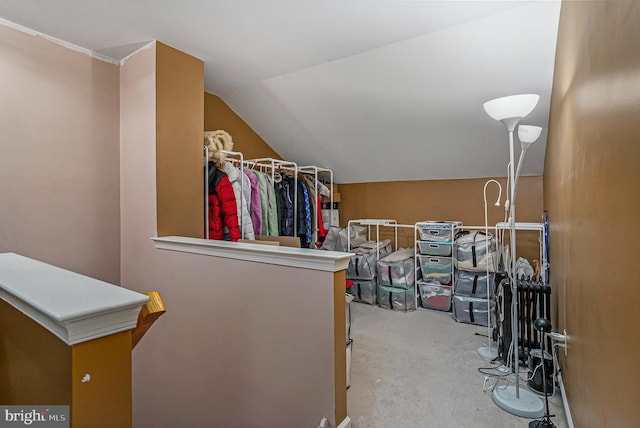 walk in closet featuring lofted ceiling