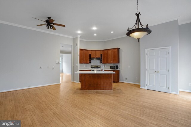 kitchen featuring light wood-style floors, appliances with stainless steel finishes, and open floor plan