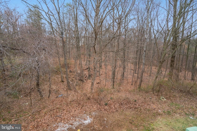 view of nature