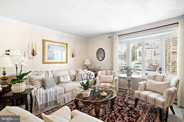 living area featuring ornamental molding and a textured ceiling