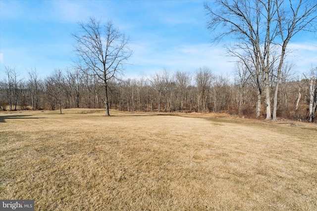 view of yard with a wooded view