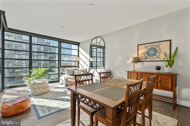 dining room with expansive windows, wood-type flooring, and baseboards