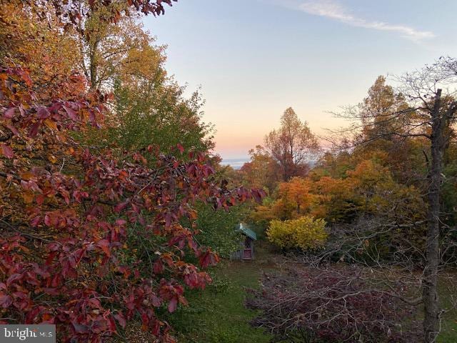 view of landscape