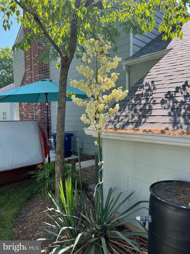 view of home's exterior featuring roof with shingles and brick siding