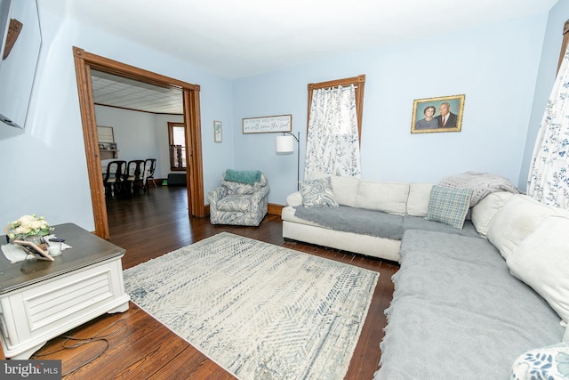 living area with wood finished floors