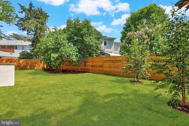 4810 3rd St N, Arlington, VA 22203 - view of fenced backyard