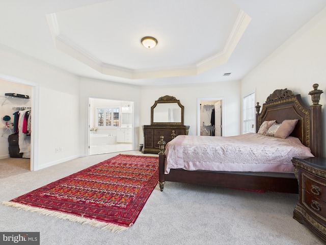 carpeted bedroom with a closet, a raised ceiling, and a spacious closet