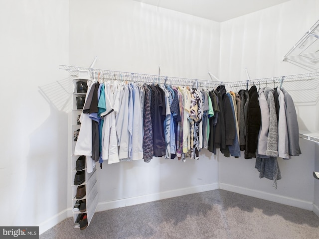 spacious closet featuring carpet floors