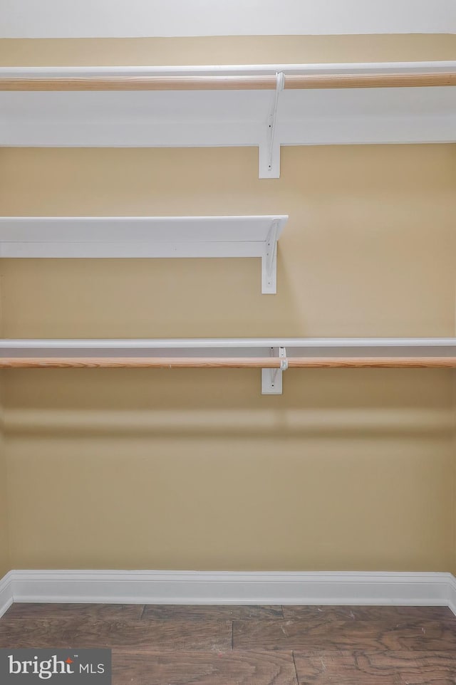 spacious closet featuring wood finished floors