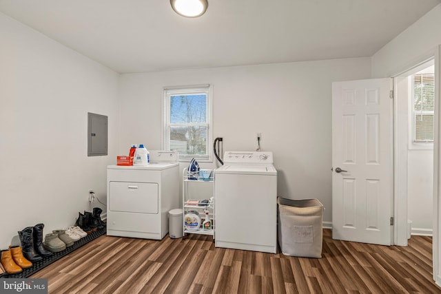 washroom featuring washing machine and dryer, electric panel, plenty of natural light, and wood finished floors